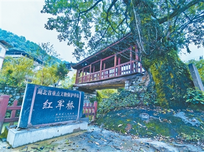 米兰体育APPhuaxinhang